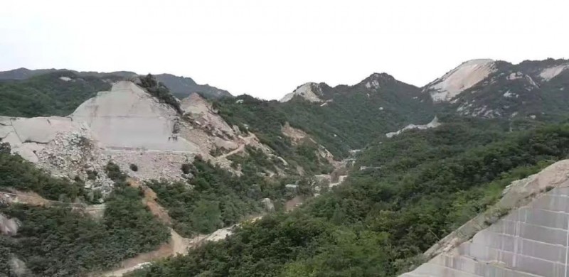 河南內(nèi)鄉(xiāng)縣板場鄉(xiāng)梨花白花崗巖石材