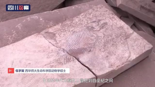 眉山首例！丹棱幸福古村發(fā)現(xiàn)疑距今約一億三千五百萬年的“魚化石”！ 