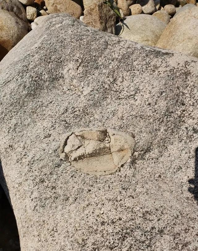 人跡罕至！浙江溫州永嘉這里有條花崗巖石河、平板溪